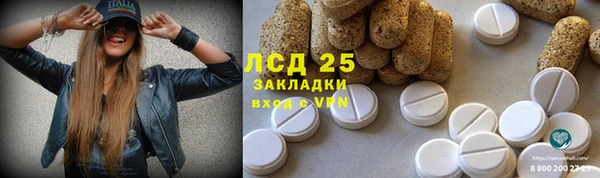 прущая мука Магас