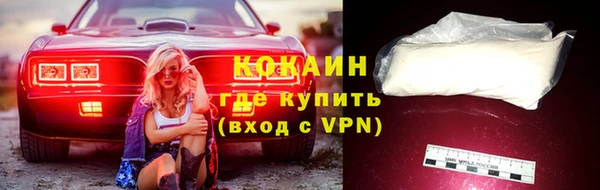 ешки Медногорск