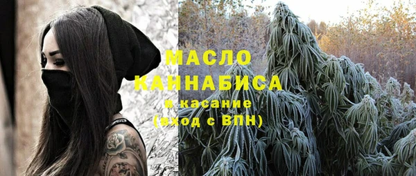 ешки Медногорск