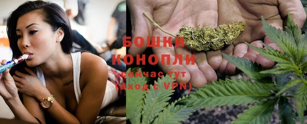 ешки Медногорск