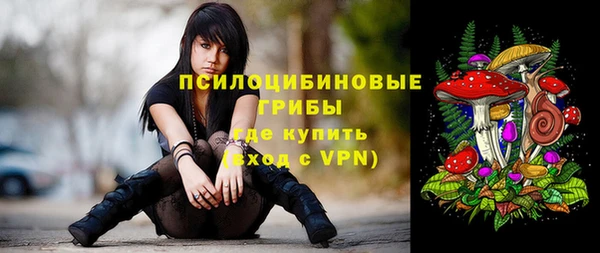 не бодяженный Мегион