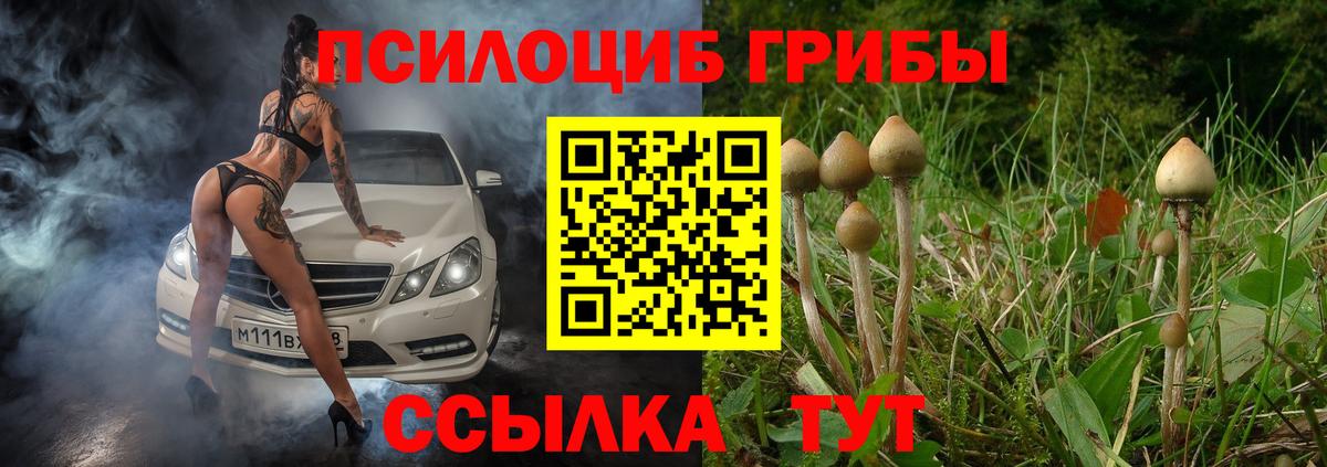 Галлюциногенные грибы Psilocybe  Вход с VPN  Галлюциногенные грибы Psilocybine cubensis  Кемерово 