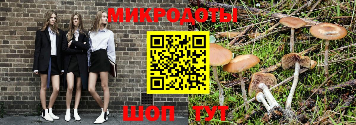 Галлюциногенные грибы Psilocybine cubensis  Псилоцибиновые грибы Magic Shrooms  где можно купить   Кемерово 